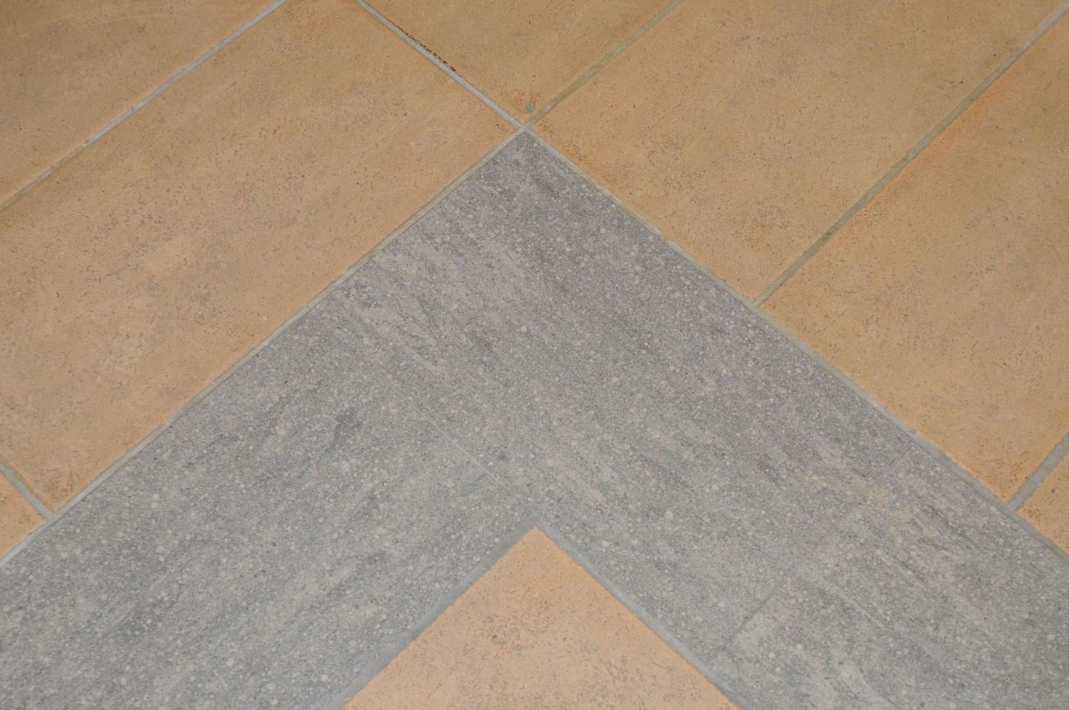 swadeshi-eventi-page14