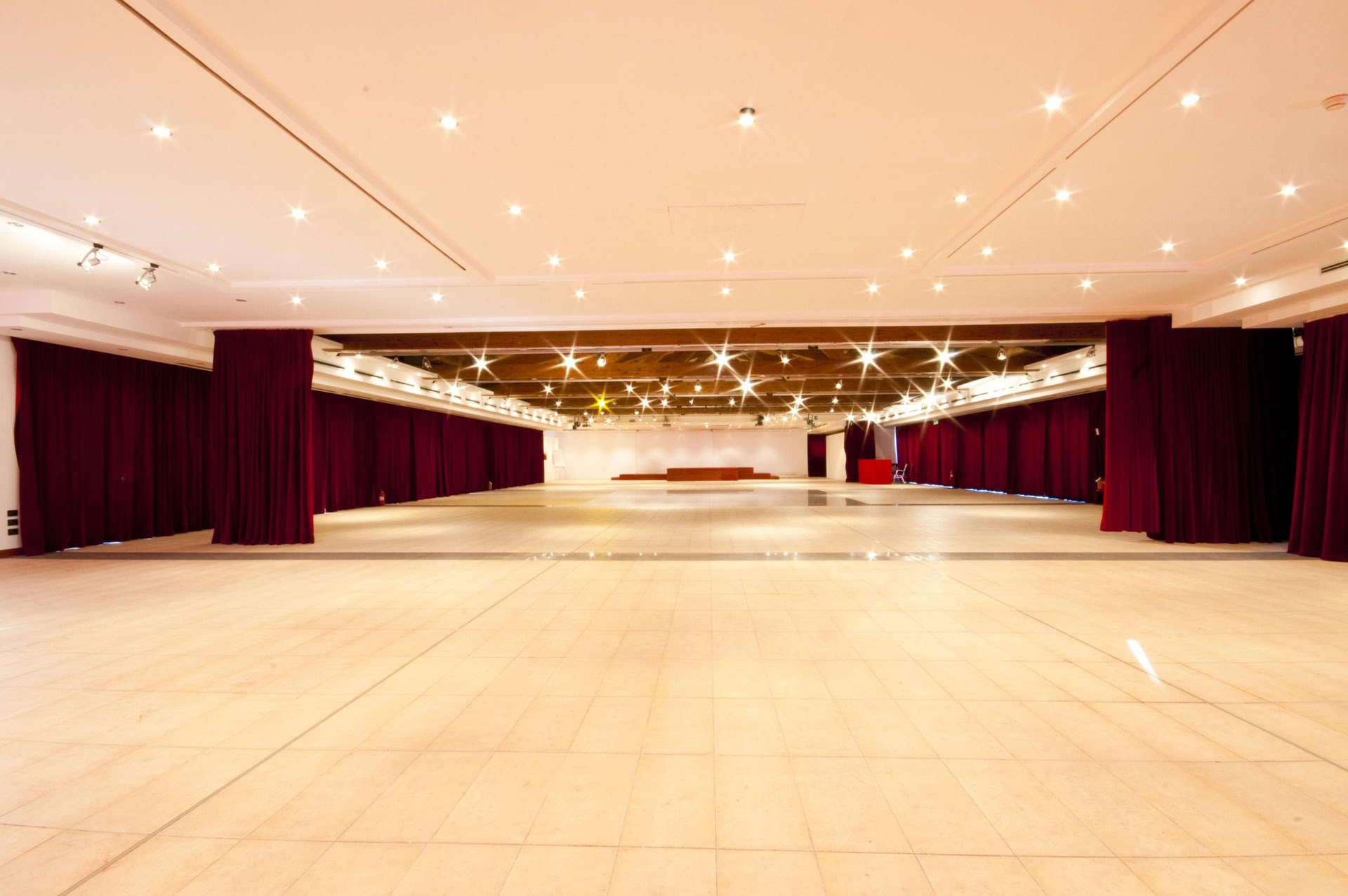 swadeshi-eventi-page63