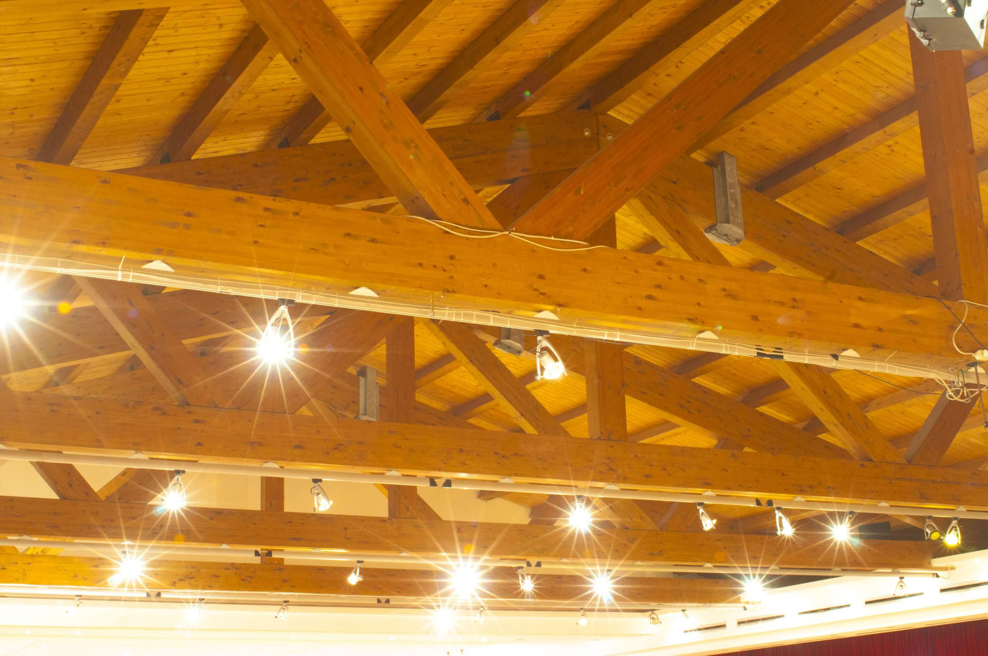 swadeshi-eventi-page66